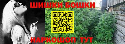 прущие крисы Заводоуковск