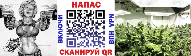 Шишки марихуана Bruce Banner  hydra маркетплейс  Нефтеюганск  купить наркотики сайты 